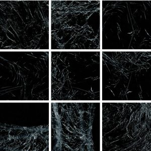 塑封膜展示模板，PNG格式15套-LOGO标兵-专业设计平台-海量素材资源