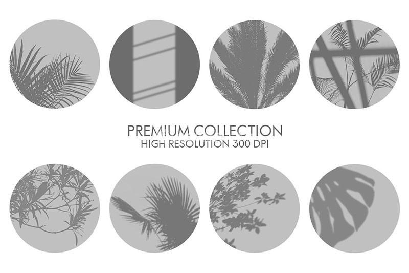 图片[8]-植物光影图片叠加素材PNG - LOGO标兵-专业设计平台-海量素材资源-LOGO标兵-专业设计平台-海量素材资源