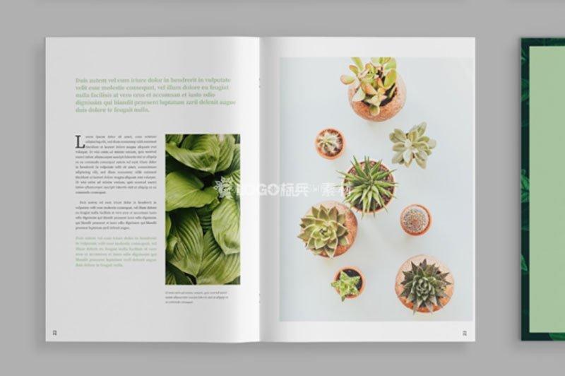 图片[3]-植物类杂志设计模板，INDD源文件高端素材 - LOGO标兵-专业设计平台-海量素材资源-LOGO标兵-专业设计平台-海量素材资源