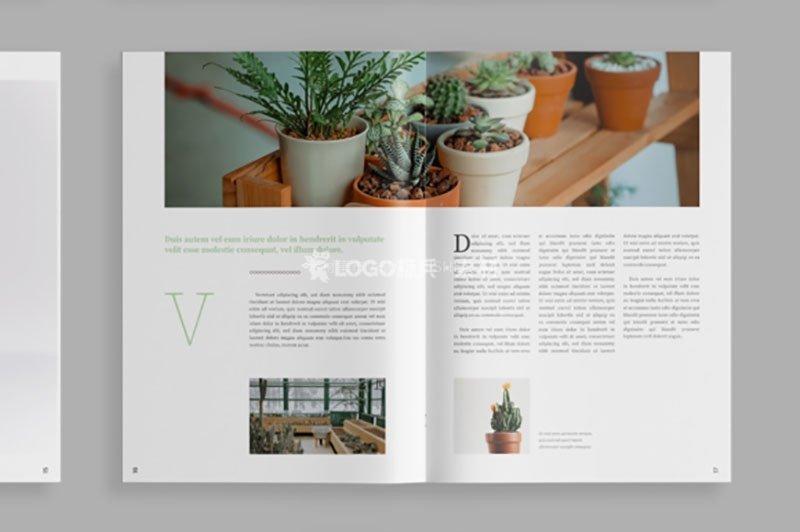 图片[4]-植物类杂志设计模板，INDD源文件高端素材 - LOGO标兵-专业设计平台-海量素材资源-LOGO标兵-专业设计平台-海量素材资源