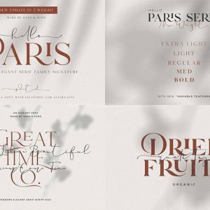 现代优雅的英文字体10款【合集】-LOGO标兵-专业设计平台-海量素材资源