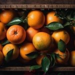 AE模板 | 情人节卡通动画元素 Valentine Kit-LOGO标兵-专业设计平台-海量素材资源