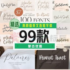 高颜值英文连笔字体99款【合集】-LOGO标兵-专业设计平台