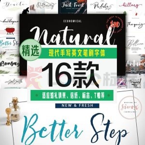 现代手写英文笔刷字体16款[合集]-LOGO标兵-专业设计平台
