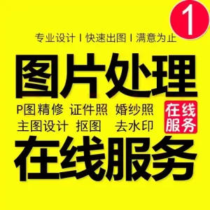 专业p图定制图修图ps无痕修改数字照片去水印logo设计图片处理ps修图p图-LOGO标兵-专业设计平台-海量素材资源