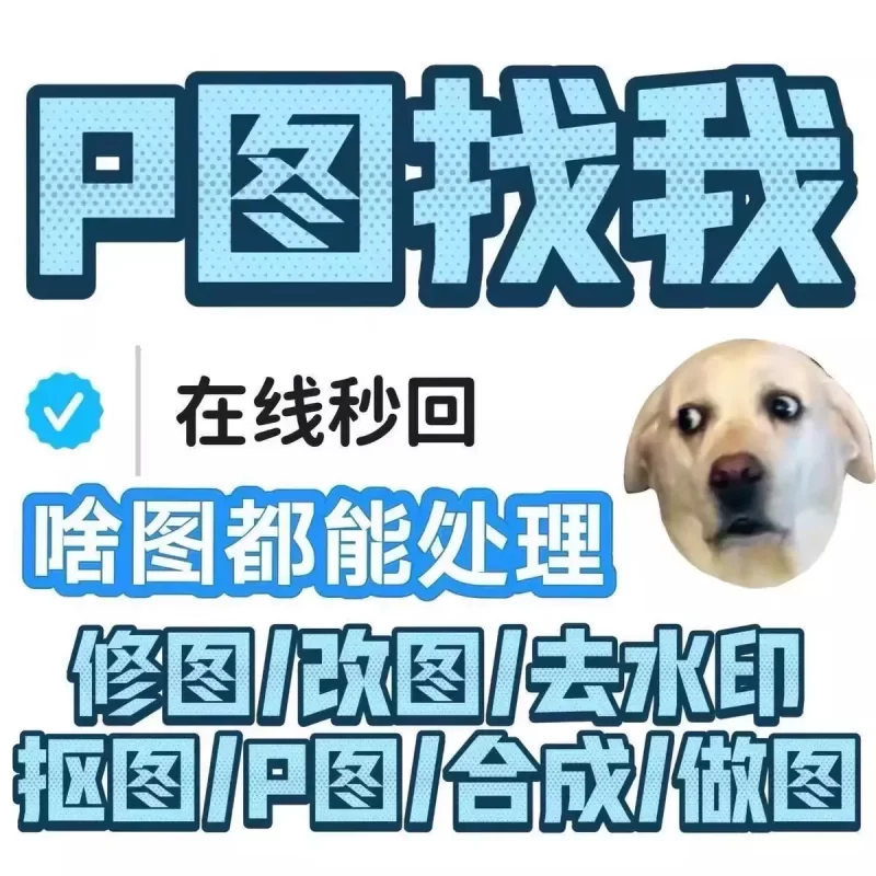 无痕p图片网站大小图定制专业ps改数字批图做图片改文字改截图LOGO定制-LOGO标兵-专业设计平台