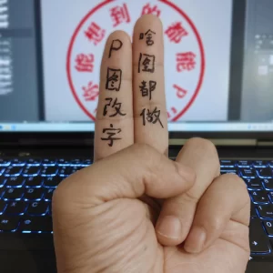专业p图LOGO定制网站大小图定制PDF无痕改文字数字施工P图PS修图抠图去水印合成P寸照-LOGO标兵-专业设计平台-海量素材资源